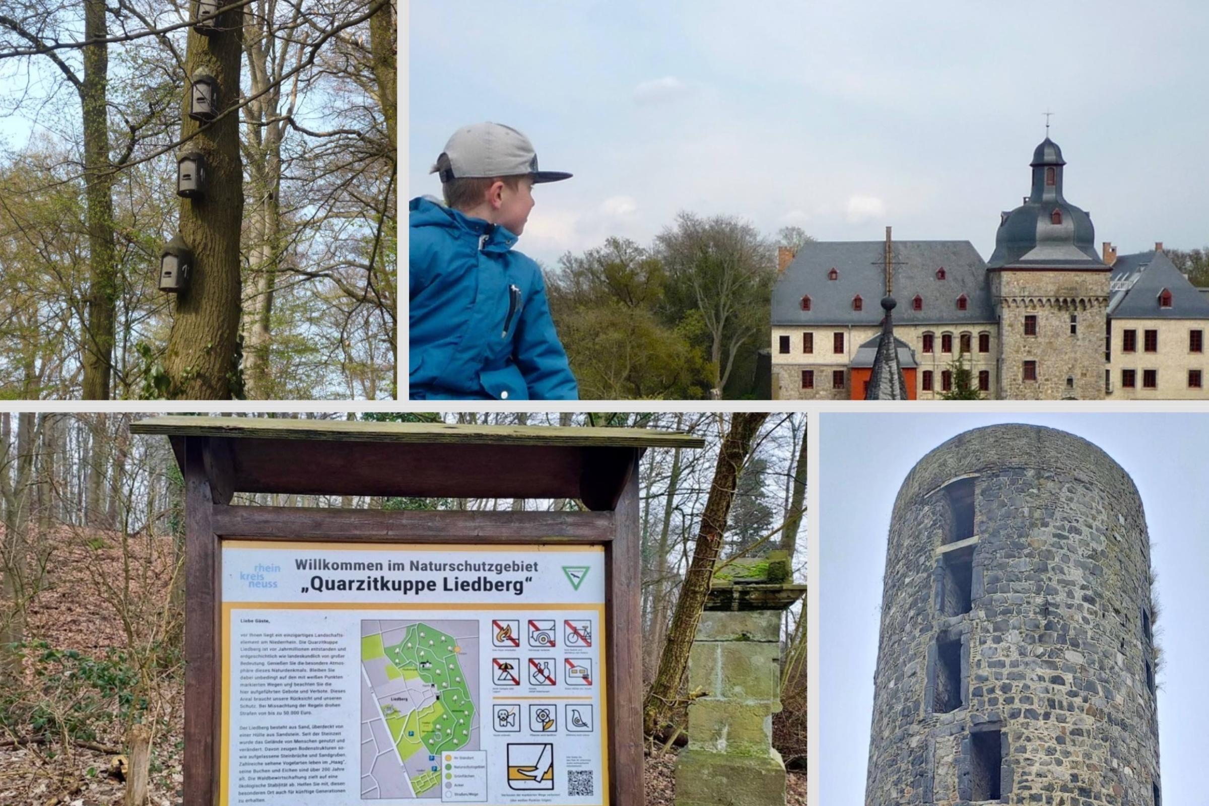 Collage aus verschiedenen Stationen der Wanderstrecke über die Quarzitkuppe in Liedberg mit Schloss und Aussichtsturm.