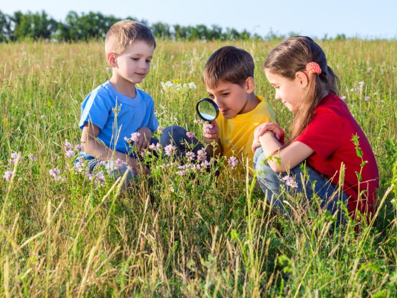 Drei Kinder sitzen auf einer Wiese und betrachten Blumen mit einer Lupe.